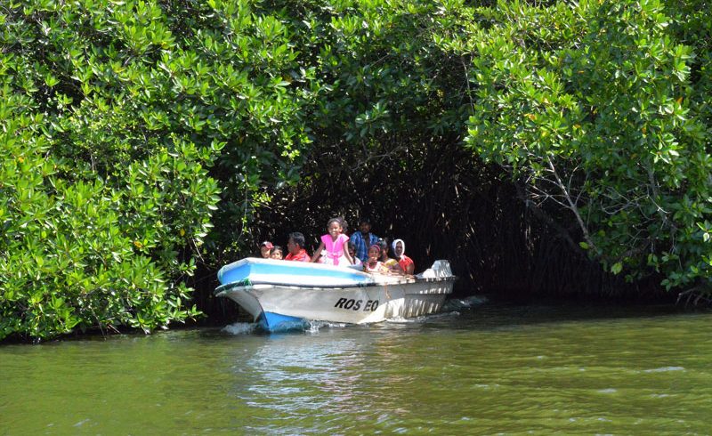 boat-trip-in-madu-river-7